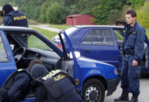 Hlavní instruktor výcvikových programů