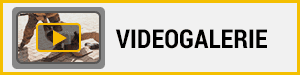 Videogalerie