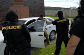 Officers of the SWAT team at training