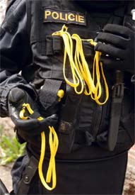 Система одноразовых наручников ESP